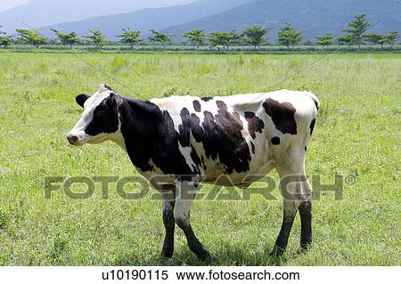 Stock Photography - Outdoors, Day. Fotosearch