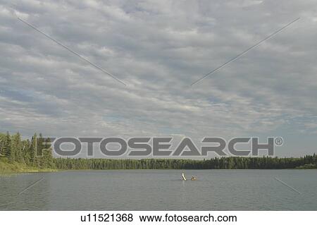 Stock Photo - 45 year old woman swimming in Katherine Lake. No motor boats allowed.; Canada, Manitoba, Riding Mountain National Park. Fotosearch