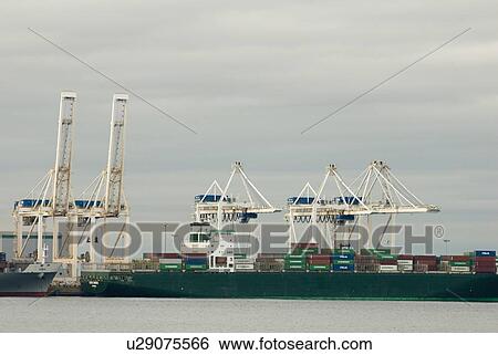 Cranes load containers onto cargo ships, Tsawwassen, BC, Canada View Large Photo Image Stock Photograph - Cranes load containers onto cargo ships, Tsawwassen, BC, Canada. Fotosearch
