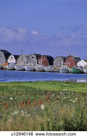 Stock Photo - Fishing shacks line the bay at Malpeque Harbour, PEI. Fotosearch