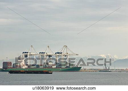 Freighters load up with cargo at the Delta, BC port View Large Photo Image Stock Photo - Freighters load up with cargo at the Delta, BC port. Fotosearch