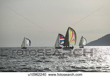 Stock Image - Sail racing, West Vancouver Yacht Club, West Vancouver, BC Canada. Fotosearch