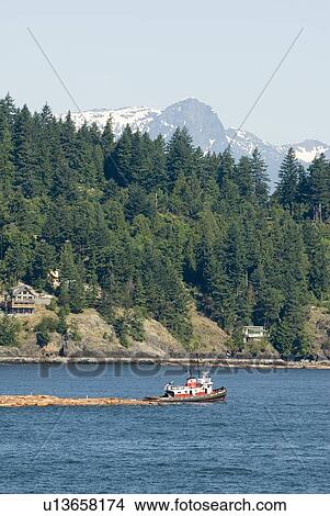 Tug Boat pulling logs through the ocean with mountains in the background, Howe Sound, BC View Large Photo Image Picture - Tug Boat pulling logs through the ocean with mountains in the background, Howe Sound, BC. Fotosearch