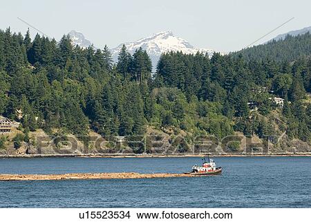 Picture - Tug Boat pulling logs through the ocean with mountains in the background, Howe Sound, BC. Fotosearch