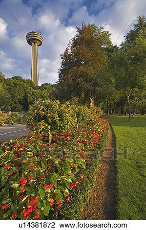 Skylon Tower and Flower Gardens at Table Rock, Niagara Falls, Ontario, Canada View Large Photo Image Stock Image - Skylon Tower and Flower Gardens at Table Rock, Niagara Falls, Ontario, Canada. Fotosearch