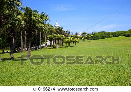 Picture - Outdoors, Day. Fotosearch