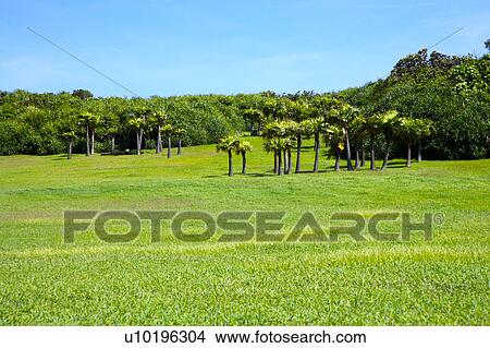 Picture - Outdoors, Day. Fotosearch