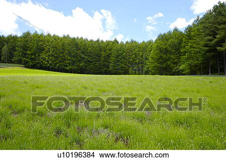 Outdoors, Day View Large Photo Image Picture - Outdoors, Day. Fotosearch