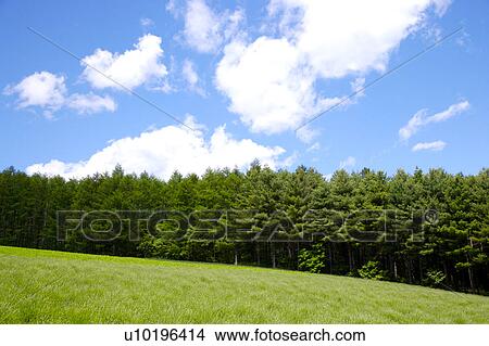 Outdoors, Day View Large Photo Image Picture - Outdoors, Day. Fotosearch