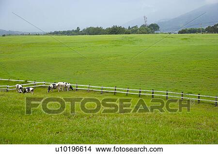 Outdoors, Day View Large Photo Image Picture - Outdoors, Day. Fotosearch