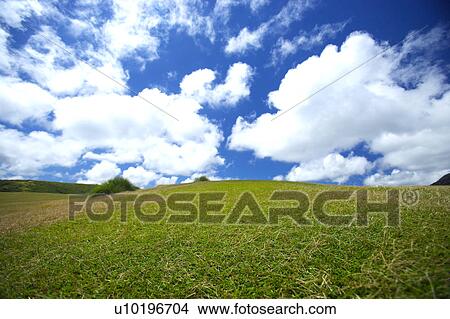 Picture - Outdoors, Day. Fotosearch