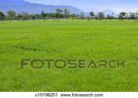 Stock Image - Outdoors, Day. Fotosearch