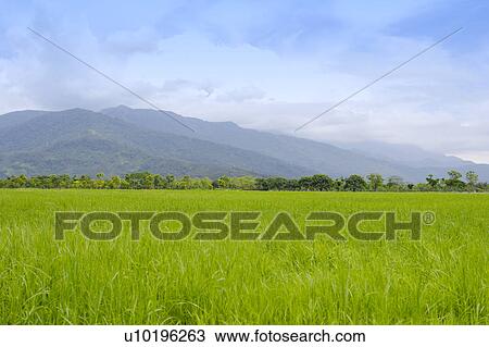 Outdoors, Day View Large Photo Image Stock Image - Outdoors, Day. Fotosearch