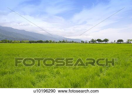 Stock Image - Outdoors, Day. Fotosearch