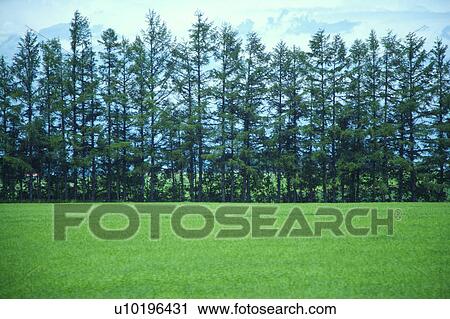 Stock Image - Outdoors, Day. Fotosearch