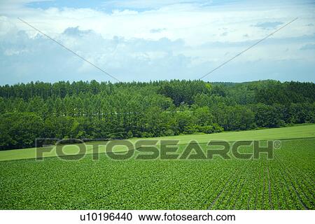 Outdoors, Day View Large Photo Image Stock Image - Outdoors, Day. Fotosearch