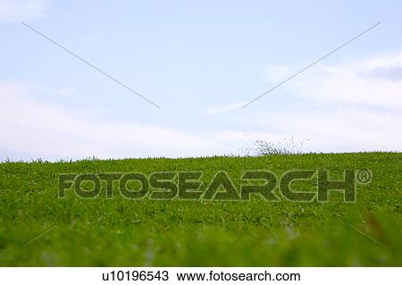 Stock Image - Outdoors, Day. Fotosearch