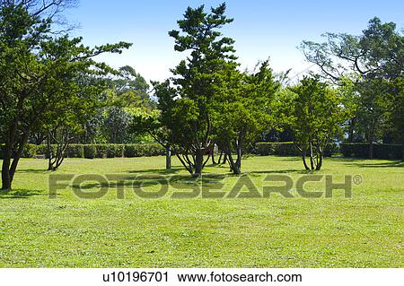Stock Image - Outdoors, Day. Fotosearch