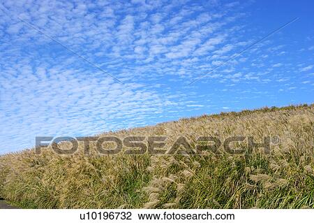 Outdoors, Day View Large Photo Image Stock Image - Outdoors, Day. Fotosearch