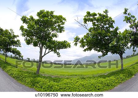 Outdoors, Day View Large Photo Image Stock Image - Outdoors, Day. Fotosearch