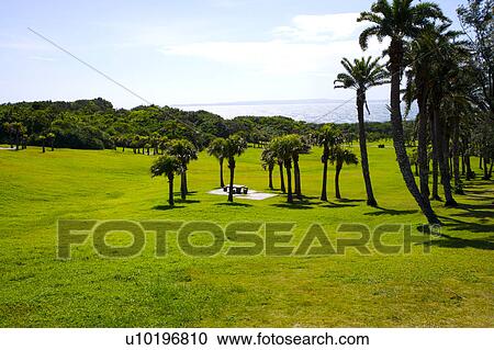 Stock Image - Outdoors, Day. Fotosearch