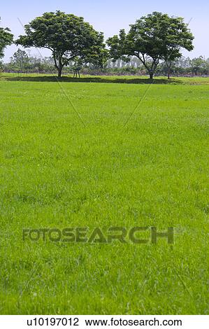 Outdoors, Day View Large Photo Image Stock Image - Outdoors, Day. Fotosearch