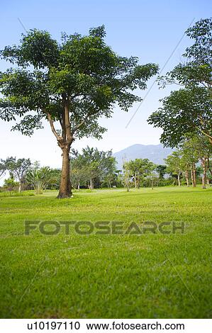 Outdoors, Day View Large Photo Image Stock Image - Outdoors, Day. Fotosearch