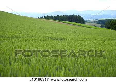Outdoors, Day View Large Photo Image Stock Photo - Outdoors, Day. Fotosearch