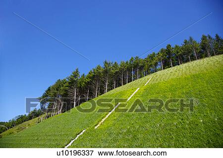 Stock Photo - Outdoors, Day. Fotosearch