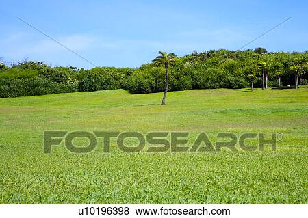 Outdoors, Day View Large Photo Image Stock Photo - Outdoors, Day. Fotosearch