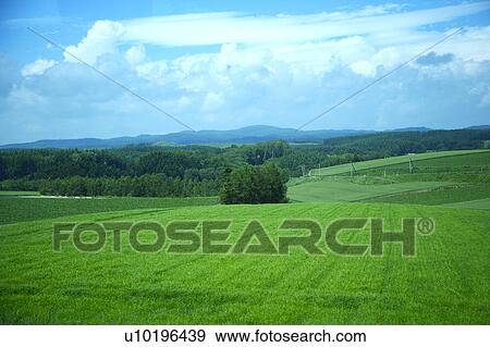 Stock Photo - Outdoors, Day. Fotosearch