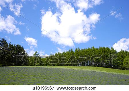 Outdoors, Day View Large Photo Image Stock Photo - Outdoors, Day. Fotosearch