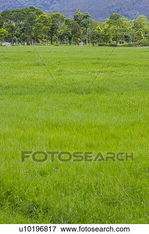 Outdoors, Day View Large Photo Image Stock Photo - Outdoors, Day. Fotosearch
