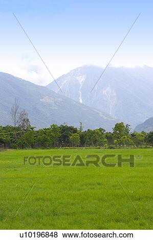 Stock Photo - Outdoors, Day. Fotosearch