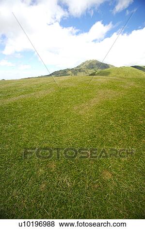 Outdoors, Day View Large Photo Image Stock Photo - Outdoors, Day. Fotosearch