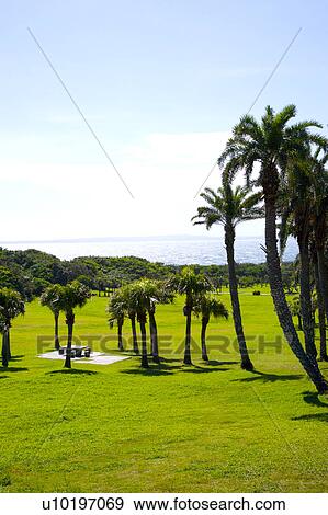 Outdoors, Day View Large Photo Image Stock Photo - Outdoors, Day. Fotosearch