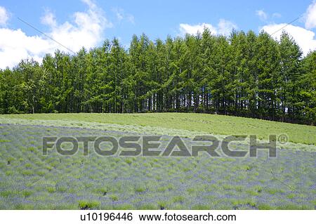 Outdoors, Day View Large Photo Image Stock Photograph - Outdoors, Day. Fotosearch