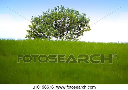 Outdoors, Day View Large Photo Image Stock Photograph - Outdoors, Day. Fotosearch