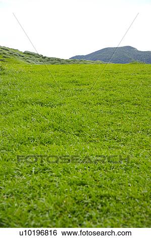 Stock Photograph - Outdoors, Day. Fotosearch