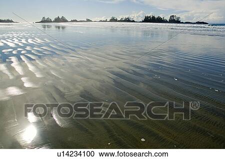 Stock Image - Chesterman Beach, Tofino, Vancouver Island, BC. Fotosearch