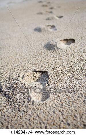 Picture - Footprints on sand, Jacksonville, Florida. Fotosearch