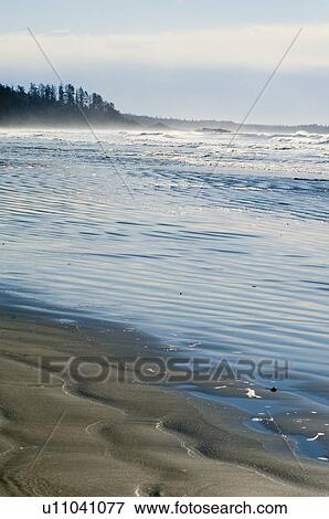 Stock Photo - Long Beach, Tofino, Vancouver Island, BC. Fotosearch