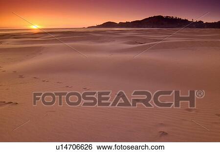 Sand dunes and footprints at sunset, Oregon Coast, Oregon, USA View Large Photo Image Stock Photograph - Sand dunes and footprints at sunset, Oregon Coast, Oregon, USA. Fotosearch