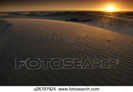 Picture - Sand Dunes at sunset, Oregon Dunes National Recreation Area. Fotosearch