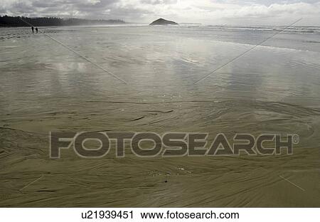 Stock Image - Sandy beach with a reflection, Long Beach, Pacific Rim National Park Reserve, Tofino, BC, Canada. Fotosearch