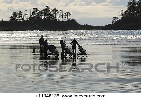 Strollers with strollers, Chesterman Beach, Tofino, Vancouver Island, BC View Large Photo Image Stock Photography - Strollers with strollers, Chesterman Beach, Tofino, Vancouver Island, BC. Fotosearch
