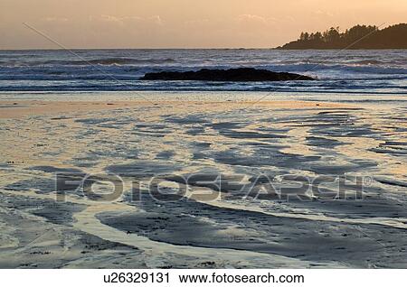 Stock Image - Sunset, Chesterman Beach, Tofino, Vancouver Island, BC. Fotosearch