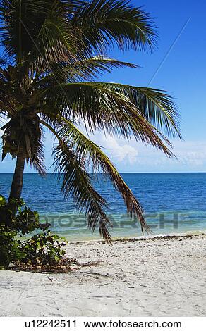 Beach View Large Photo Image Stock Image - Beach. Fotosearch