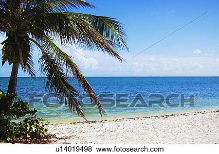 Beach View Large Photo Image Stock Photo - Beach. Fotosearch