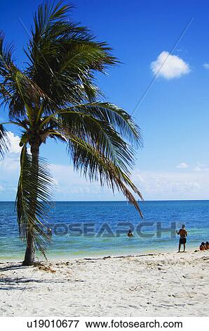 Beach View Large Photo Image Stock Photo - Beach. Fotosearch